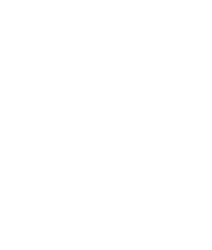 Nebosh Official Logo