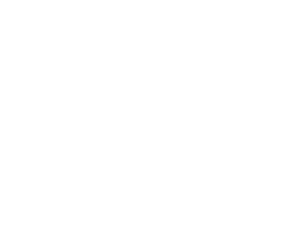 Sealiosh Logo